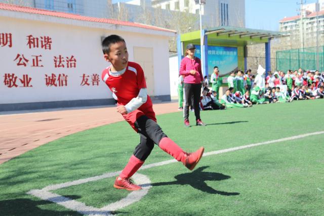 蒙扎官方：主帅内斯塔下课